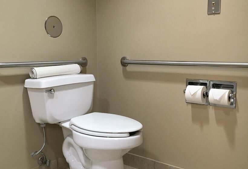 Номер Стандарт 2 Двуспальные Кровати, Comfort Inn & Suites Near Kino Sports Complex
