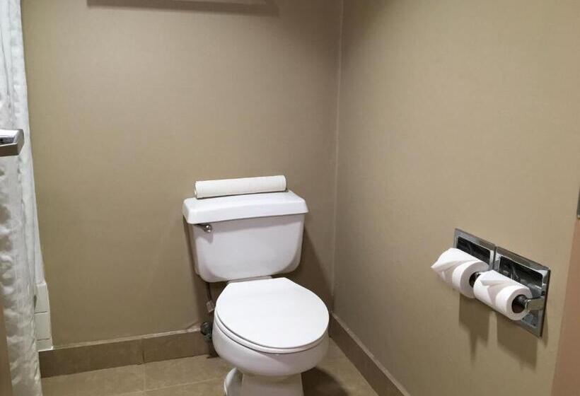 Номер Стандарт, Comfort Inn & Suites Near Kino Sports Complex