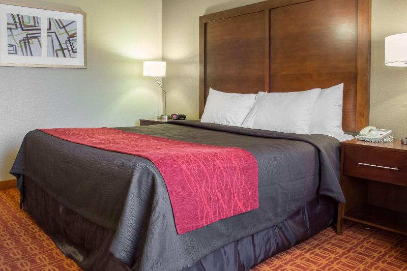 Стандартный Номер Кровать Кинг, Comfort Inn & Suites Near Kino Sports Complex