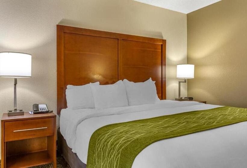 Номер Стандарт Адаптированный для Инвалидов, Comfort Inn & Suites Phoenix North   Deer Valley