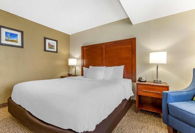 Стандартный Номер Кровать Кинг, Comfort Inn & Suites Phoenix North   Deer Valley