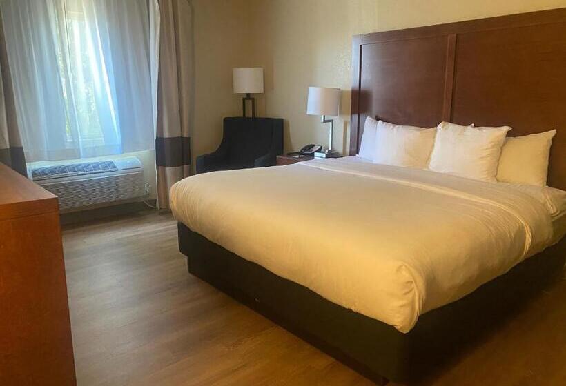 Стандартный Номер Кровать Кинг, Comfort Inn & Suites Phoenix North   Deer Valley