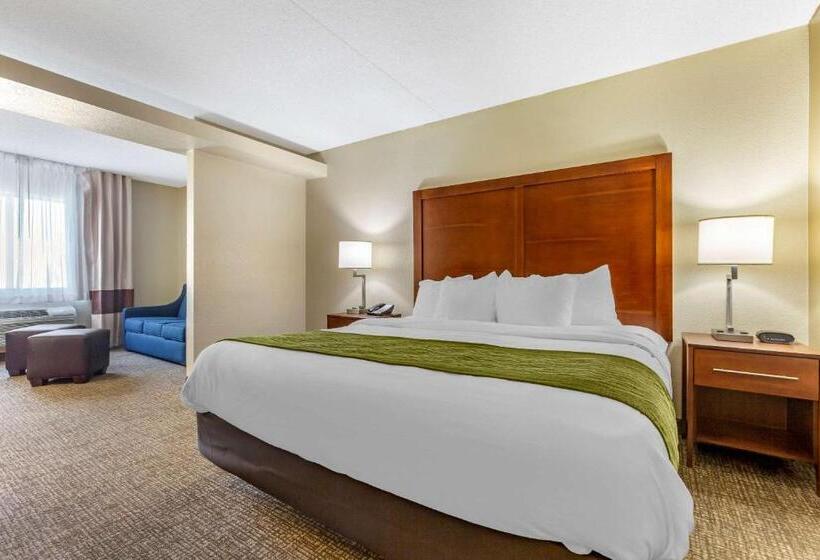 Номер Deluxe Кровать Кинг, Comfort Inn & Suites Phoenix North   Deer Valley