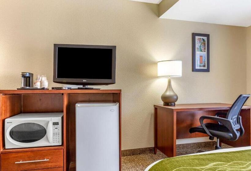 Номер Стандарт, Comfort Inn & Suites Phoenix North   Deer Valley