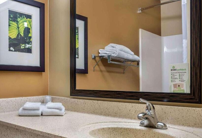 Studio Standard Lit King Size, Extended Stay America Suites  Houston  Med. Ctr.  Greenway Plaza