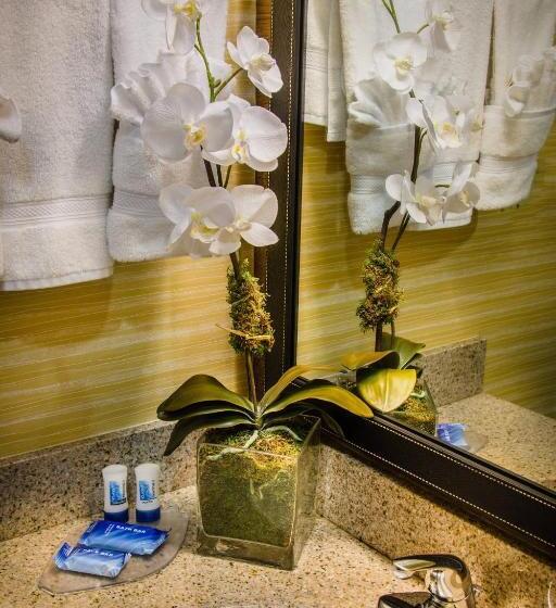 Suite, Fairfield Inn & Suites Dulles Airport