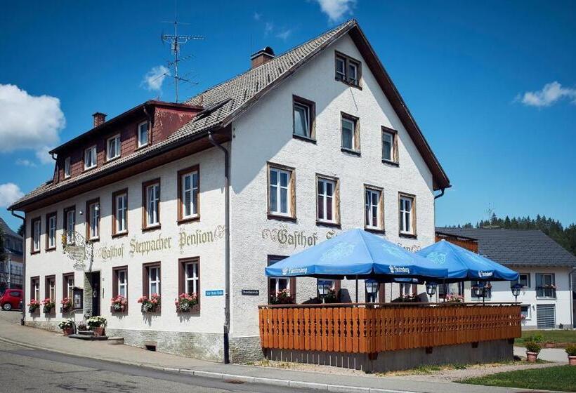 Номер Стандарт, Gasthof & Pension Steppacher