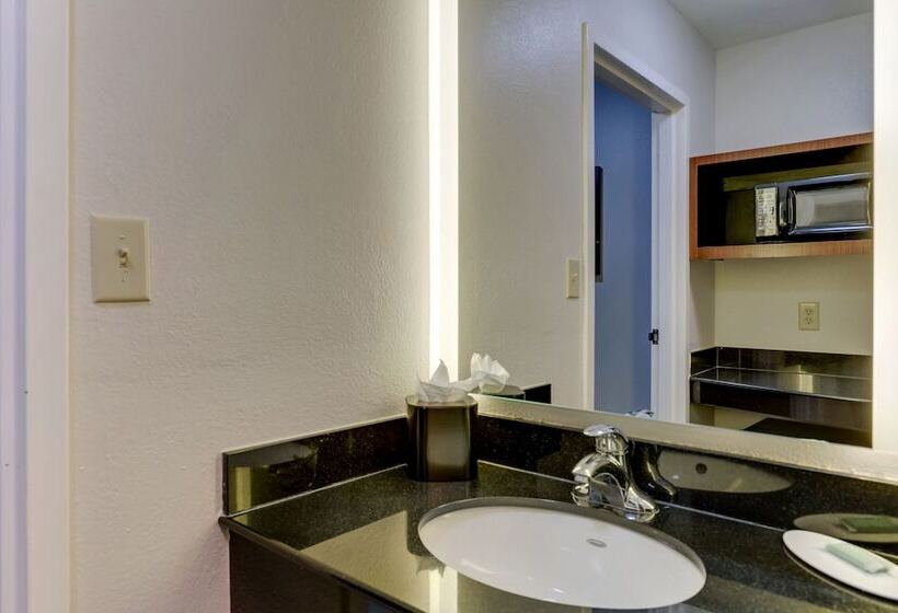 带2个双人床的标准工作室, Fairfield Inn By Marriott Las Colinas
