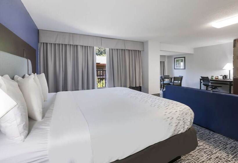 Suite Aangepast voor Gehandicapten, Surestay Plus Hotel By Best Western Gatlinburg