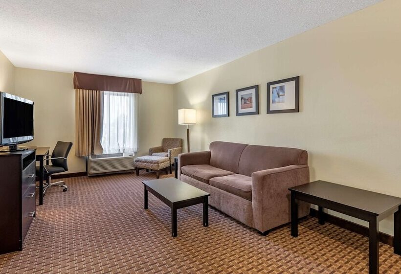 스위트, Comfort Inn & Suites Warsaw Near Us30