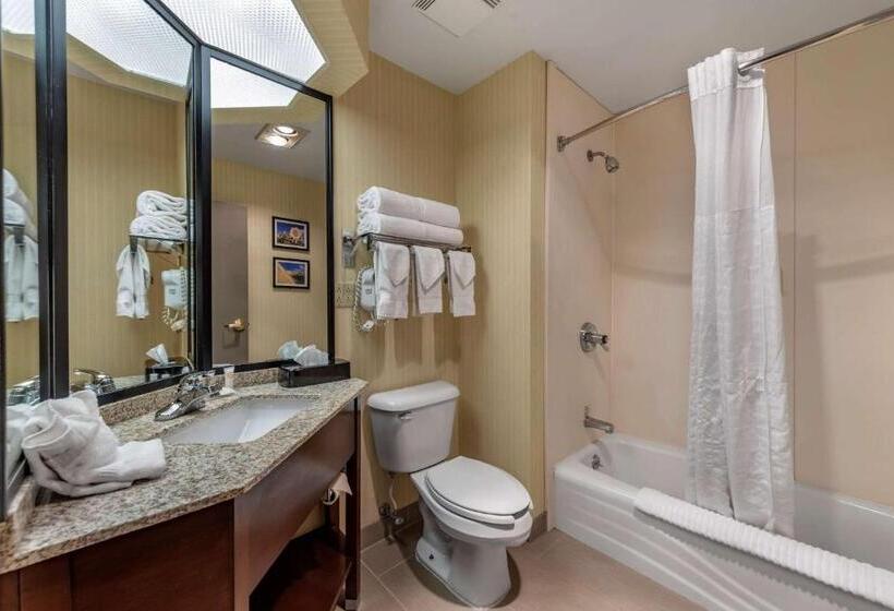 장애인을 위한 스위트, Comfort Inn & Suites Warsaw Near Us30