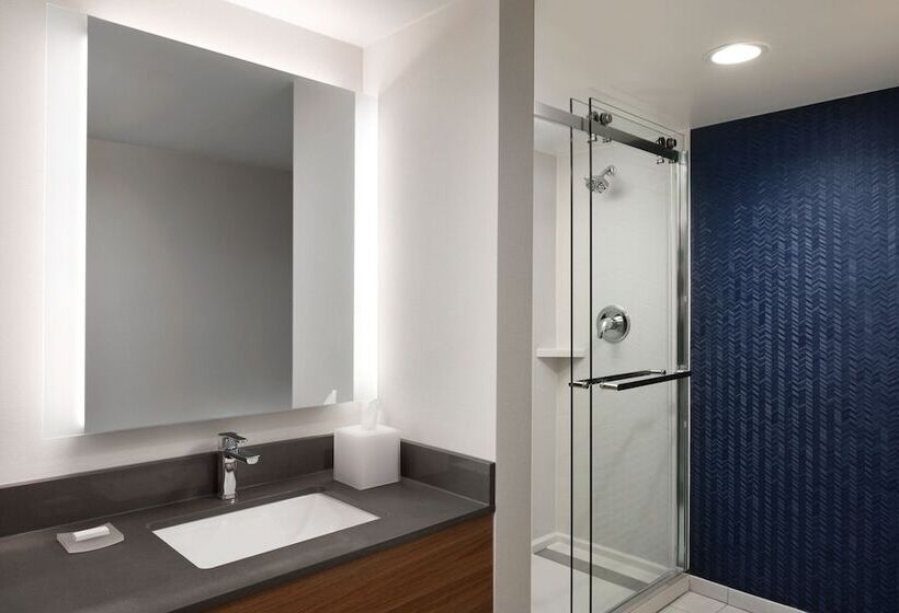 Номер Стандарт Двуспальная Кровать, Fairfield Inn & Suites By Marriott Denver Southwest/lakewood