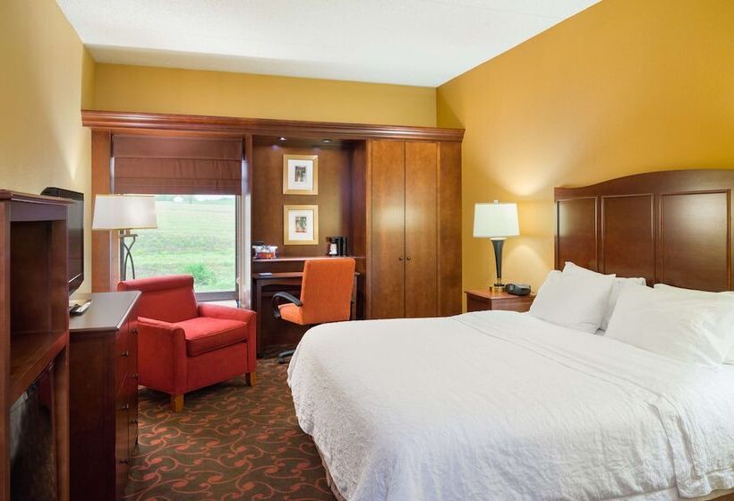 장애인을 위한 킹사이즈 침대 스탠다드 룸, Larkspur Landing Carlisle
