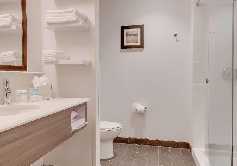 스탠다드 룸 킹사이즈 침대, Hampton Inn Idaho Falls At The Mall