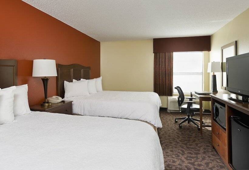 스탠다드 룸 더블 침대 2개, Hampton Inn San Angelo