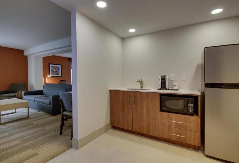 스위트 킹사이즈 침대, Holiday Inn Express Voorhees/ Mt. Laurel, An Ihg