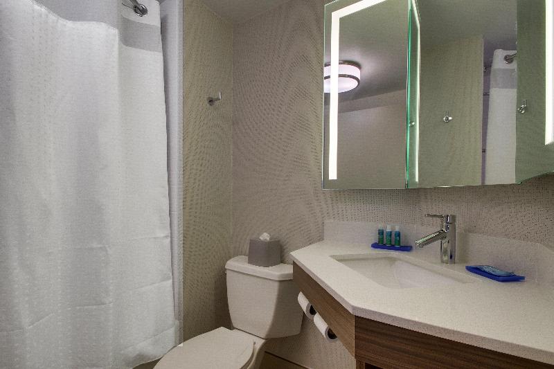 장애인을 위한 킹사이즈 침대 스탠다드 룸, Holiday Inn Express Voorhees/ Mt. Laurel, An Ihg
