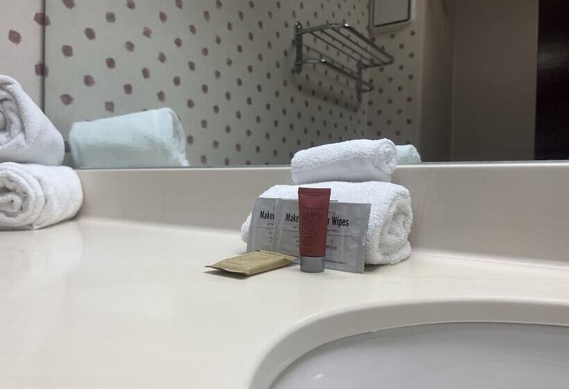 اتاق استاندارد برای معلولان, Orlando Palms