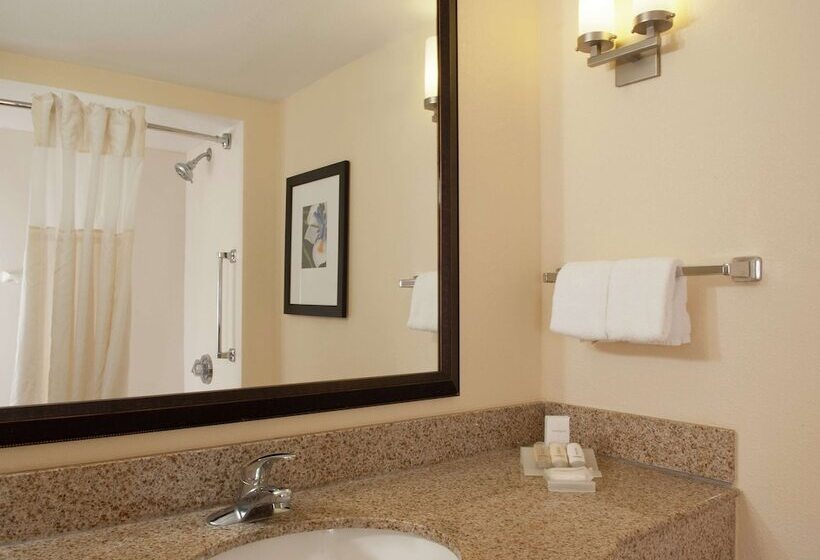 Номер Стандарт, Hilton Garden Inn Orlando Airport