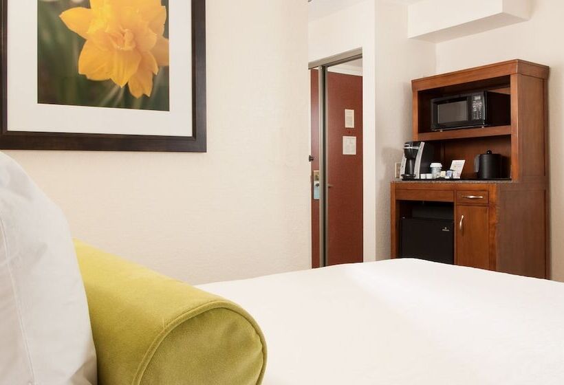 Номер Стандарт, Hilton Garden Inn Orlando Airport