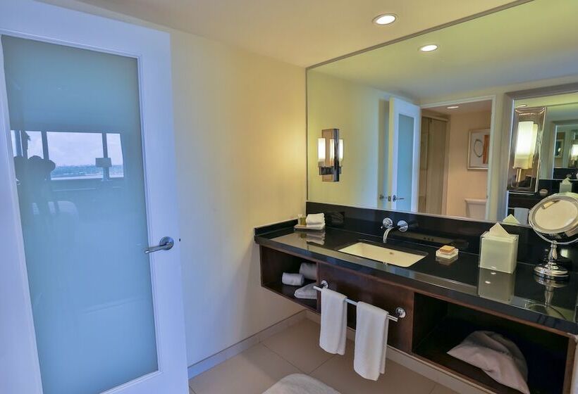 Полулюкс для Инвалидов, Hilton Miami Airport Blue Lagoon