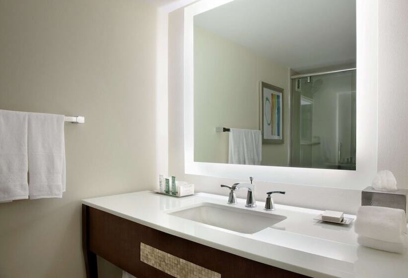 Номер Deluxe Вид на Озеро, Hilton Miami Airport Blue Lagoon