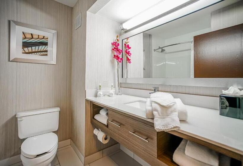חדר סטנדרט, Sleep Inn & Suites