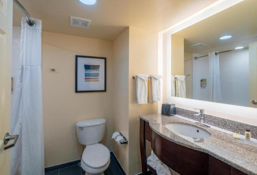 סוויטה, Staybridge Suites Memphis Poplar Ave East, An Ihg