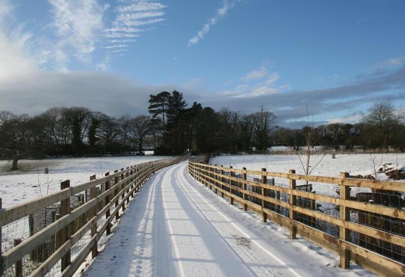 Bangalô Standard, Swansea Valley Holiday Cottages