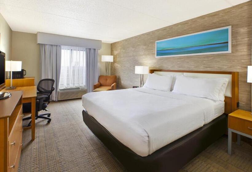 キングサイズベッドのスタンダードルーム, Holiday Inn & Suites Bolingbrook, An Ihg