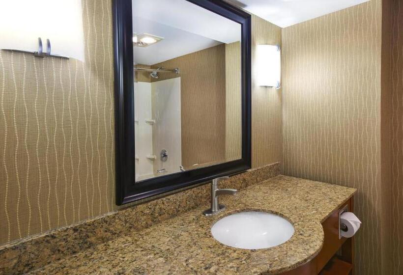 デラックスルーム, Holiday Inn & Suites Bolingbrook, An Ihg