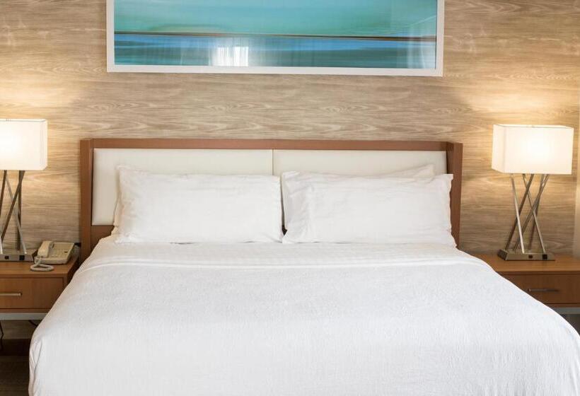 身障者適用キングサイズベッドルーム, Holiday Inn & Suites Bolingbrook, An Ihg