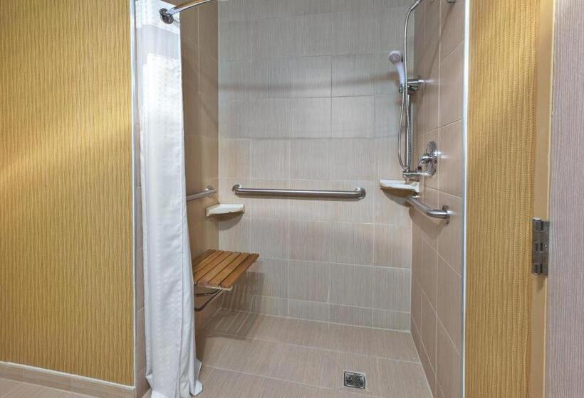 身障者適用スイートルーム, Holiday Inn & Suites Bolingbrook, An Ihg