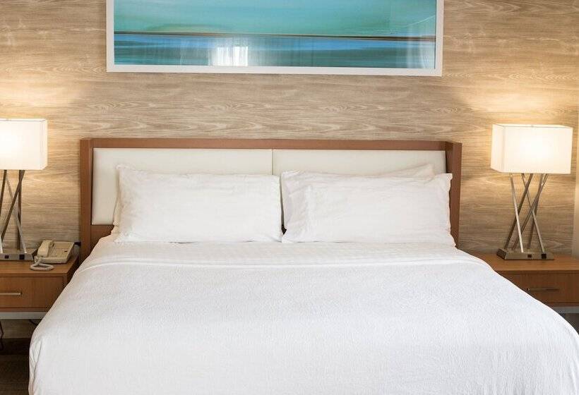 身障者適用スイートルーム, Holiday Inn & Suites Bolingbrook, An Ihg
