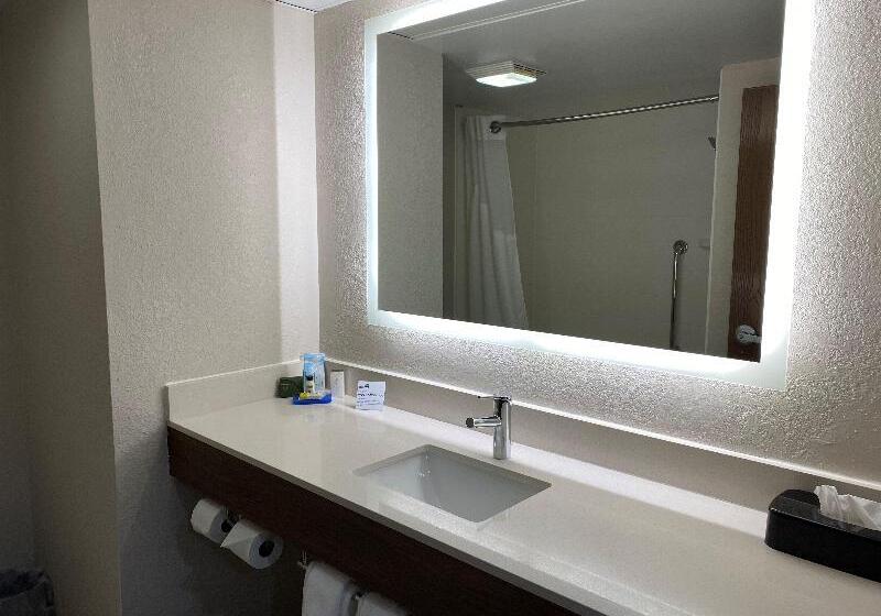 身障者適用キングサイズベッドルーム, Holiday Inn Express & Suites Dayton Huber Heights By Ihg
