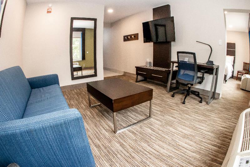 スイート, Holiday Inn Express   Allentown North, An Ihg