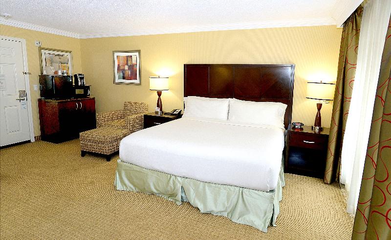 Стандартный Номер Кровать Кинг, Holiday Inn & Suites San Mateo   Sfo, An Ihg