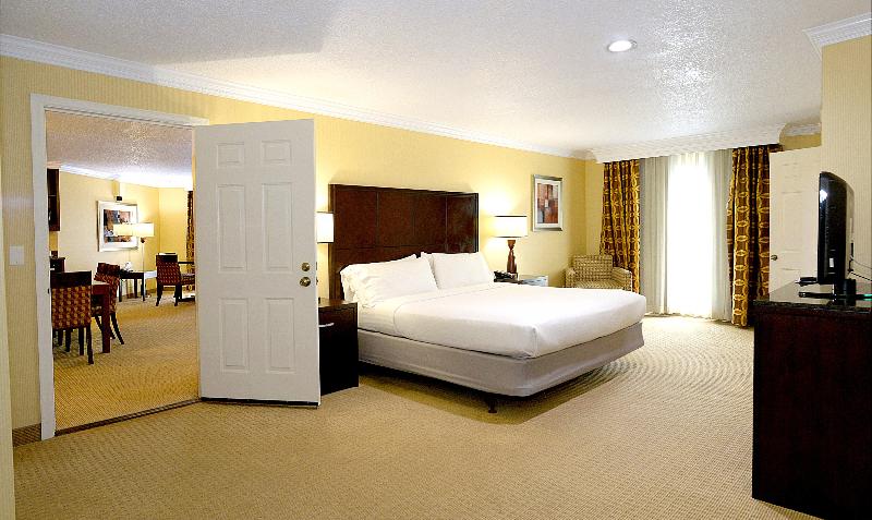 Люкс Кровать Кинг, Holiday Inn & Suites San Mateo   Sfo, An Ihg