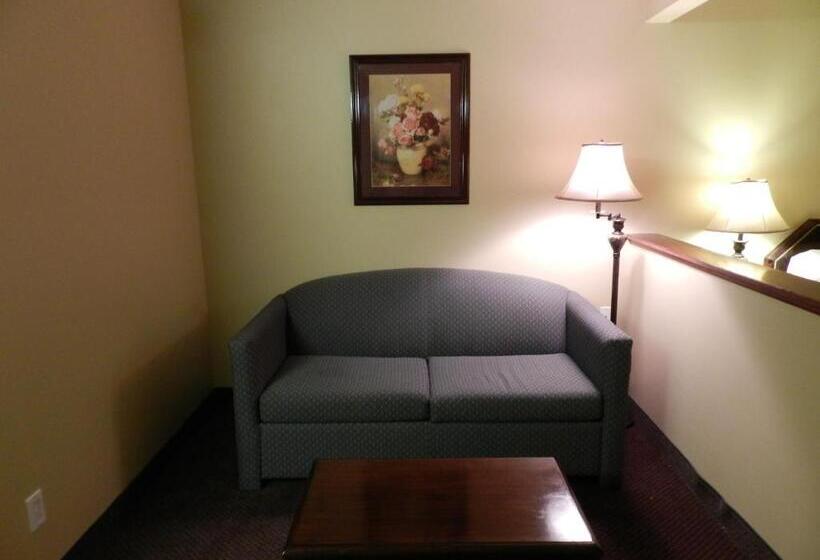 Полулюкс, Luxury Inn & Suites Troy