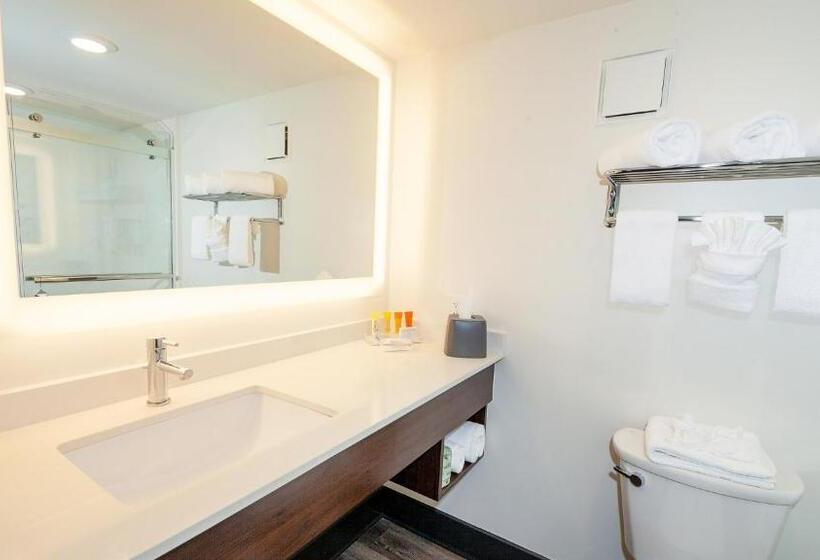 身障者適用クイーンサイズベッドルーム, Holiday Inn Resort Panama City Beach, An Ihg