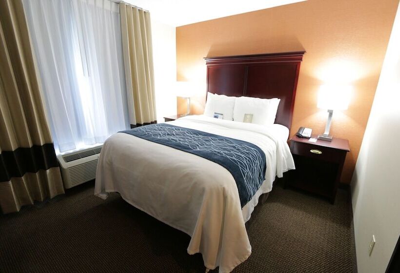 이그제큐티브 스위트, Comfort Inn & Suites