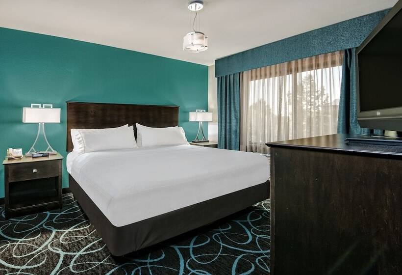 스위트, Holiday Inn Express Hotel And Suites Fort Worth/i 20