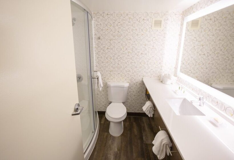 Номер Стандарт, Holiday Inn Orlando International Airport, An Ihg