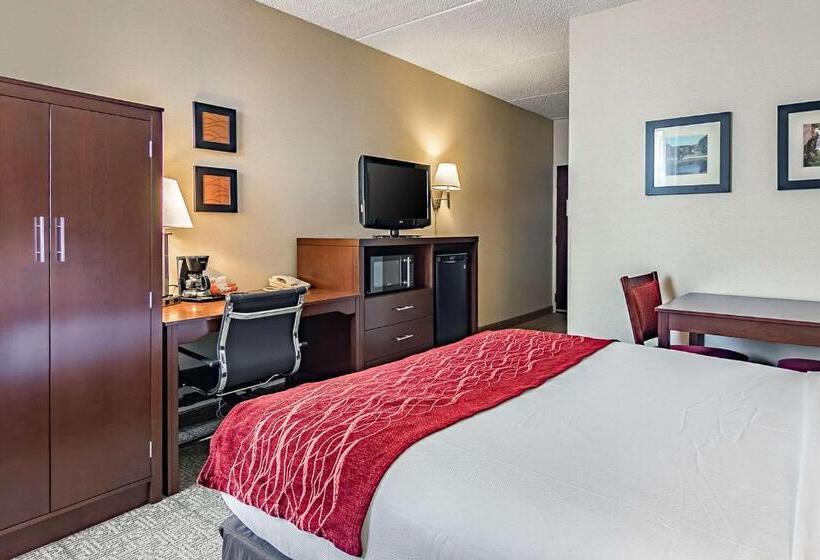 חדר סטנדרט עם מיטת קינג, Fairfield By Marriott Inn & Suites Madison South