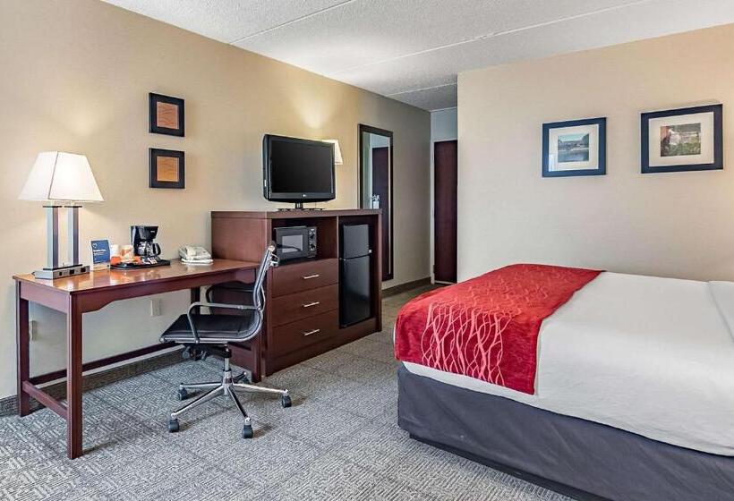 חדר סטנדרט עם מיטת קינג, Fairfield By Marriott Inn & Suites Madison South