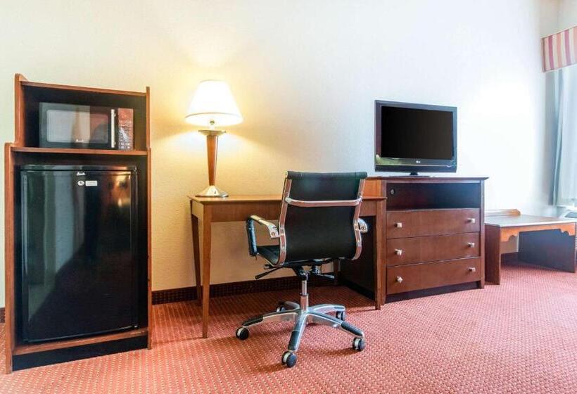 장애인을 위한 킹사이즈 침대 스탠다드 룸, Quality Inn & Suites