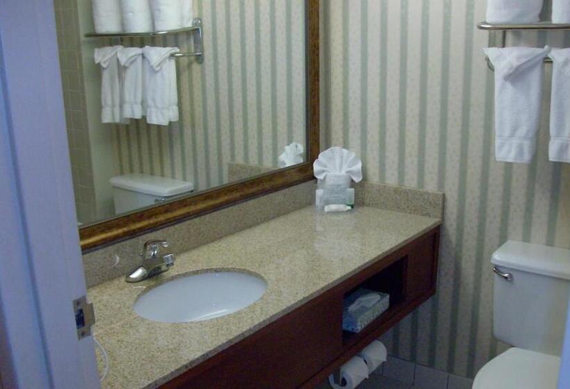 Стандартный Номер Кровать Кинг, Wingate By Wyndham Kansas City