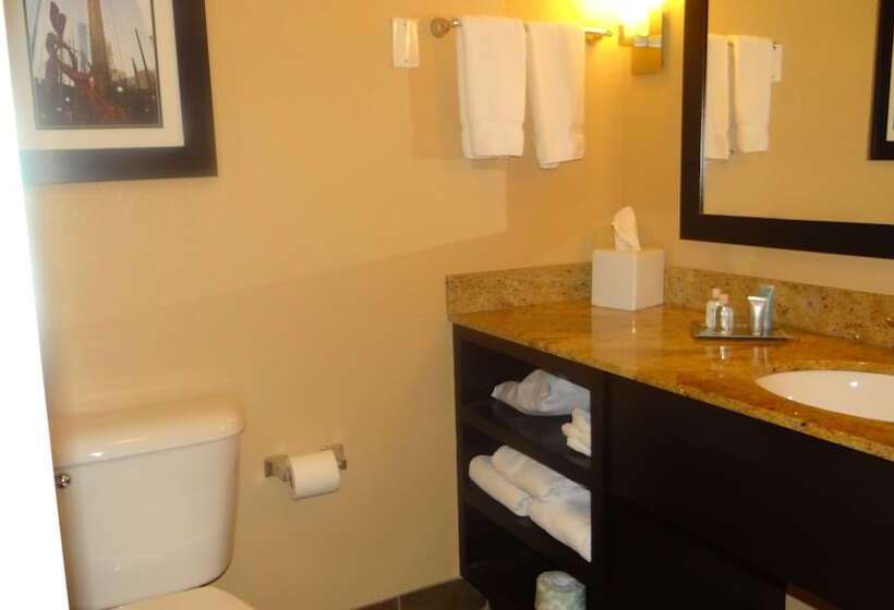 Люкс Адаптированный для Инвалидов, Wyndham Garden Oklahoma City Hotel & Conference Ctr Near Airport, Fairgrounds Paycom & I40