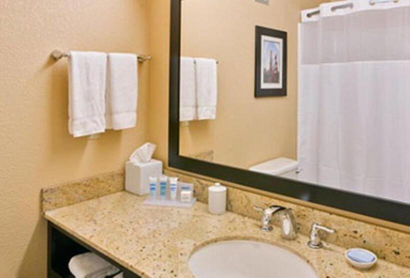 Номер Стандарт Кровать Кинг Адаптированный для Инвалидов, Wyndham Garden Oklahoma City Hotel & Conference Ctr Near Airport, Fairgrounds Paycom & I40