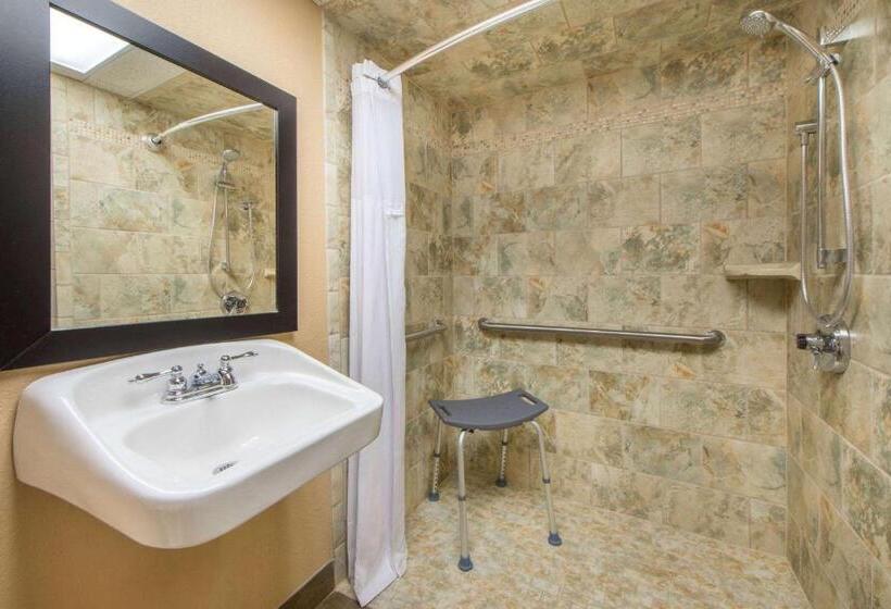 Номер Стандарт Кровать Кинг Адаптированный для Инвалидов, Wyndham Garden Oklahoma City Hotel & Conference Ctr Near Airport, Fairgrounds Paycom & I40